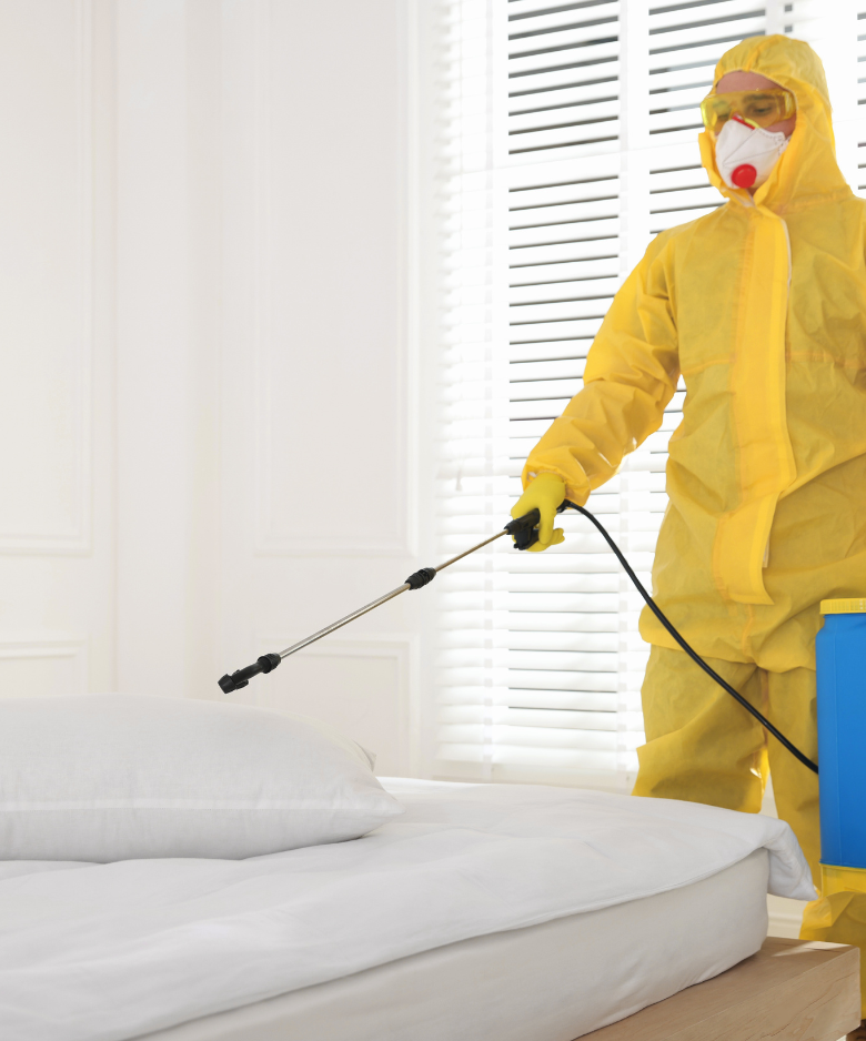 Professional Pest Control Team in Gawler South